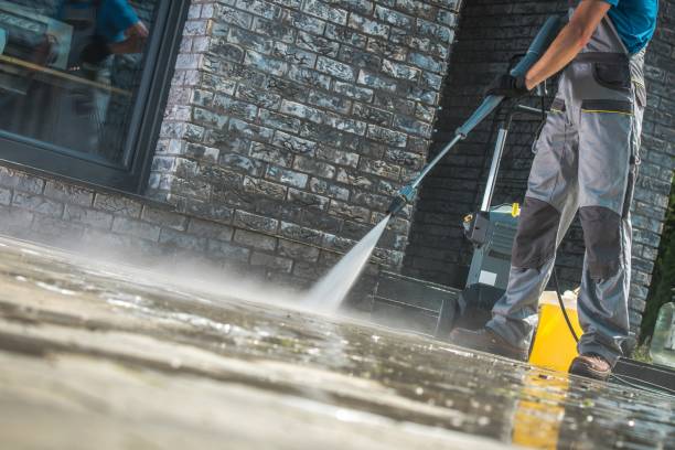 Best Graffiti Removal  in Lenwood, CA